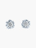 Crown of Thorns Stud Earrings