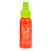 Leave-In Conditioner