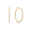 Pavé CZ Hoop Earrings