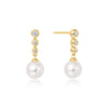 CZ Tennis Beaded Stone Pearl Drop Stud Earrings in Gold