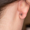 Lobe Wonder