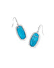 Dani Silver Bezel Drop Earrings in Variegated Indigo Magnesite