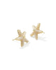 Parker Starfish Gold Stud Earrings