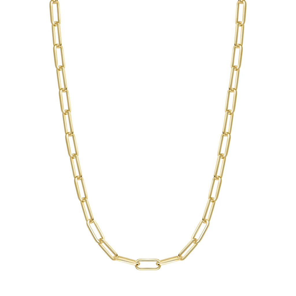 Gold Medium Chain Necklace