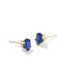 Cailin Crystal Stud Earring Gold