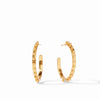Soho Hoop Earrings in Gold
