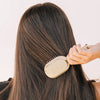 Mini Detangler Hair Brush for Medium Hair