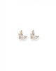 Nova Screwback Stud Earrings