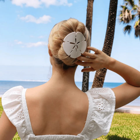 Sand Dollar Flat Hair Clip
