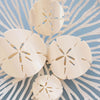 Sand Dollar Flat Hair Clip