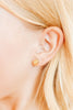 Marina Gold Shell Flat Back Screwback Stud Earrings