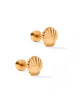 Marina Gold Shell Flat Back Screwback Stud Earrings