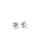 Dira Pearl Stud Earring Freshwater Cultured Pearl