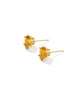 Cailin Crystal Stud Earring Gold