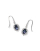 Daphne Crystal Frame Drop Earrings
