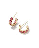 Cailin Gold Crystal Huggie Earrings in Burgundy