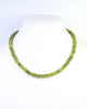 Gisela Stone Beaded Oval Clasp Necklace