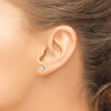 Texas Stud Earrings