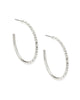 Veronica Hoop Earrings with Iridescent Crystals